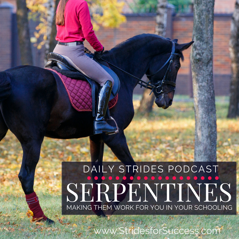 Serpentines; Making Them Work for You in Your Schooling