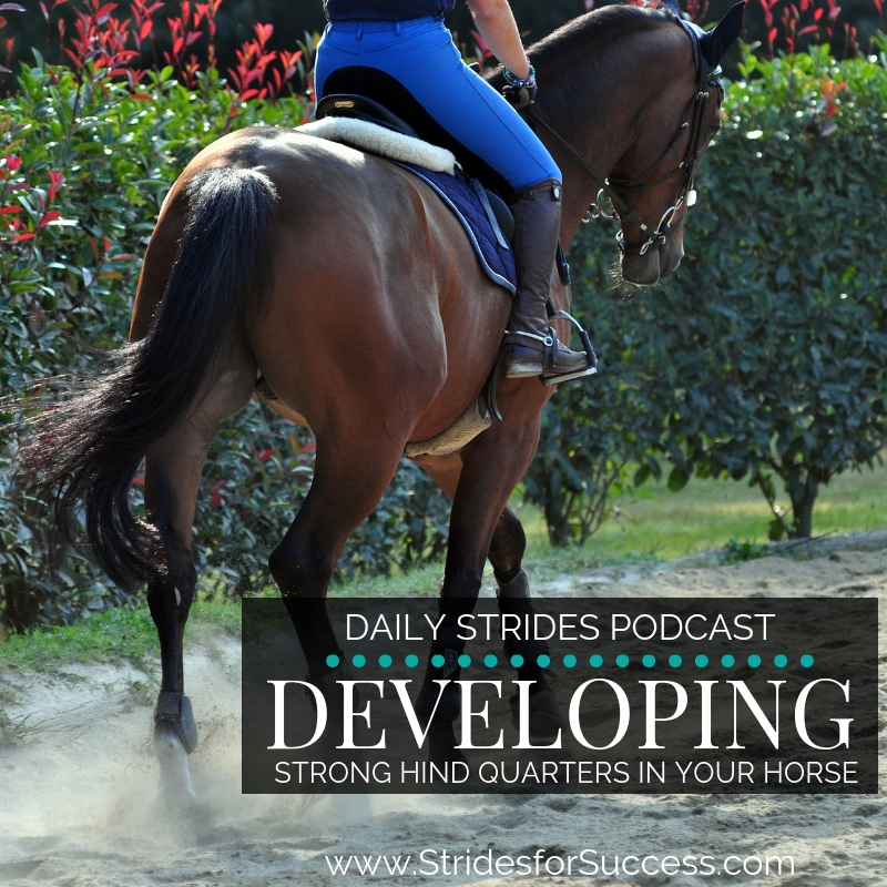 Developing Strong Hind Quarters in Your Horse