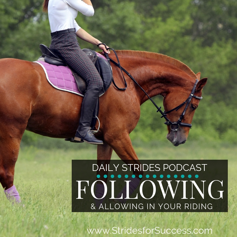 Following & Allowing in Your Riding