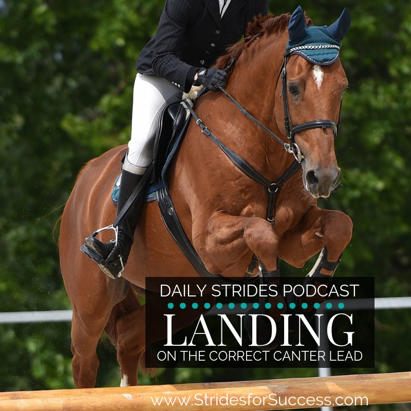 Landing on the Correct Canter Lead