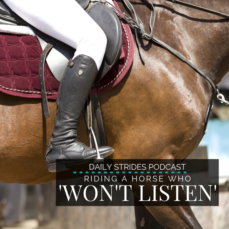 Riding a Horse Who ‘Won’t Listen’