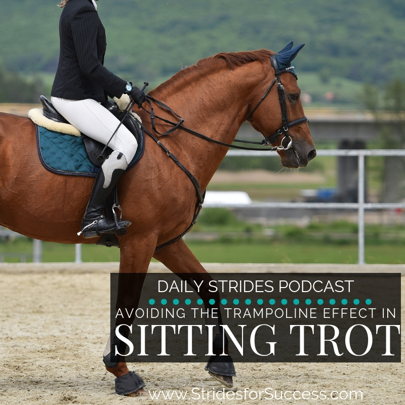 Avoiding the Trampoline Effect in the Sitting Trot