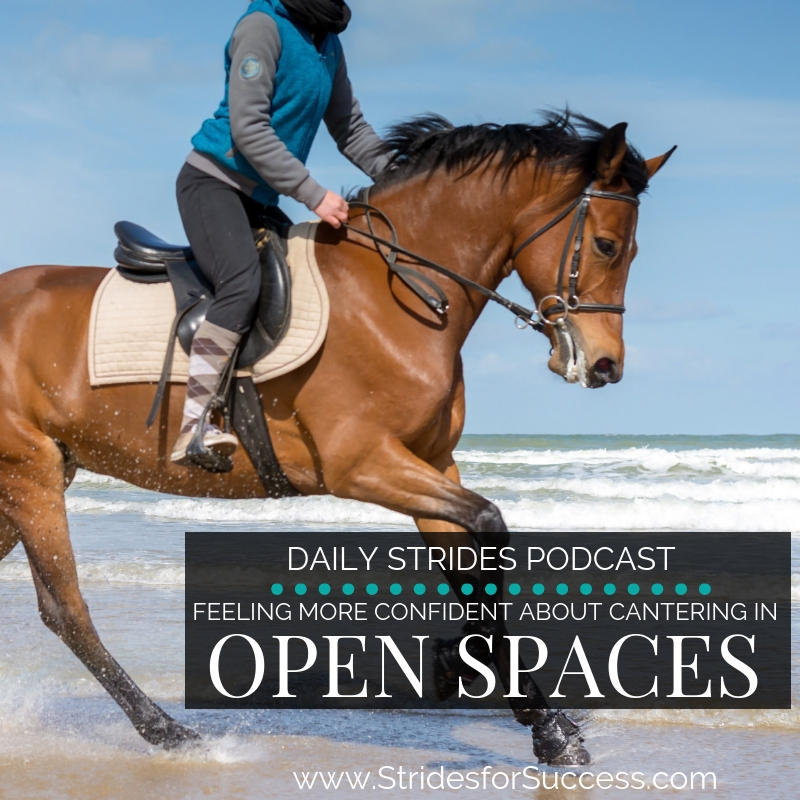 Feeling more Confident Cantering in Open Spaces