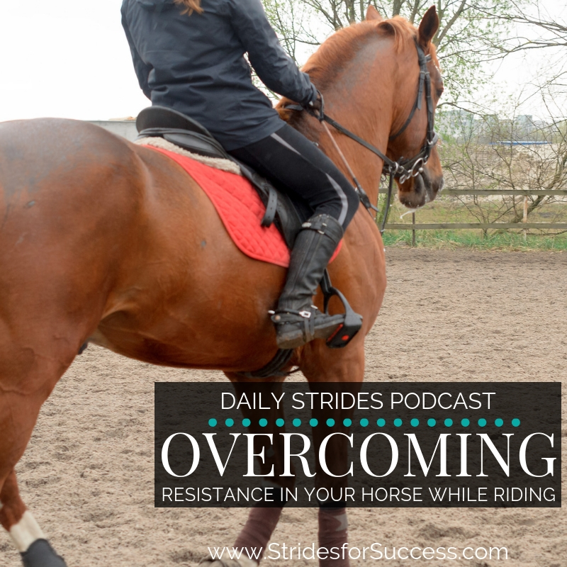 Overcoming Resistance in Your Horse While Riding