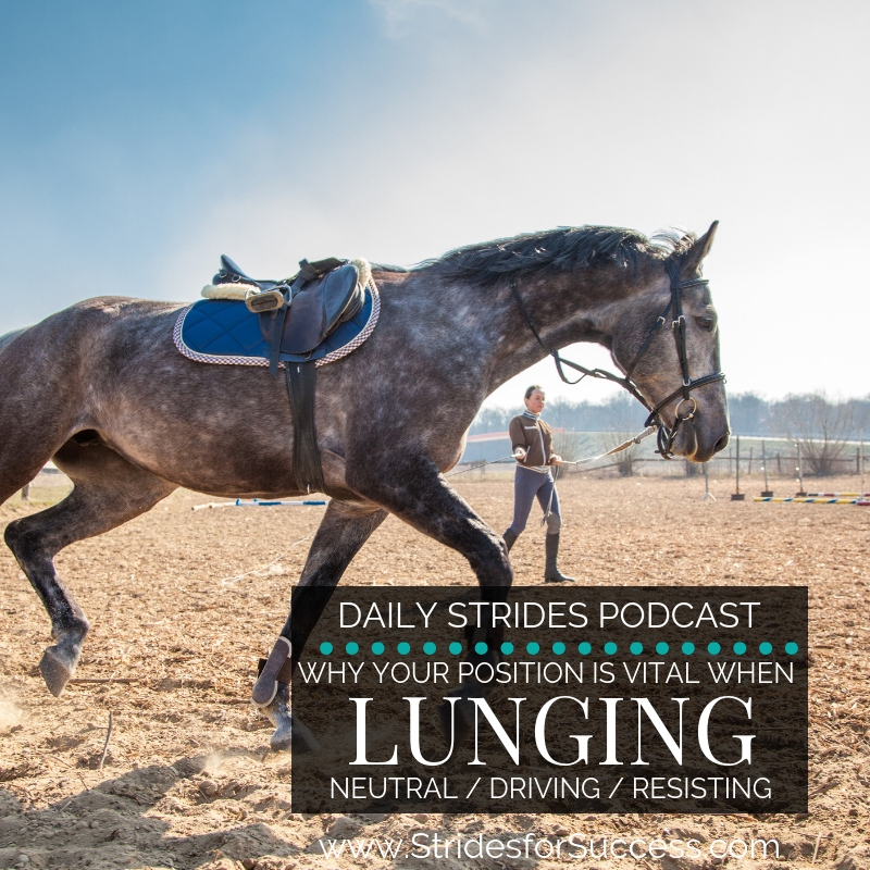 Why Your Position while Lunging is Everything