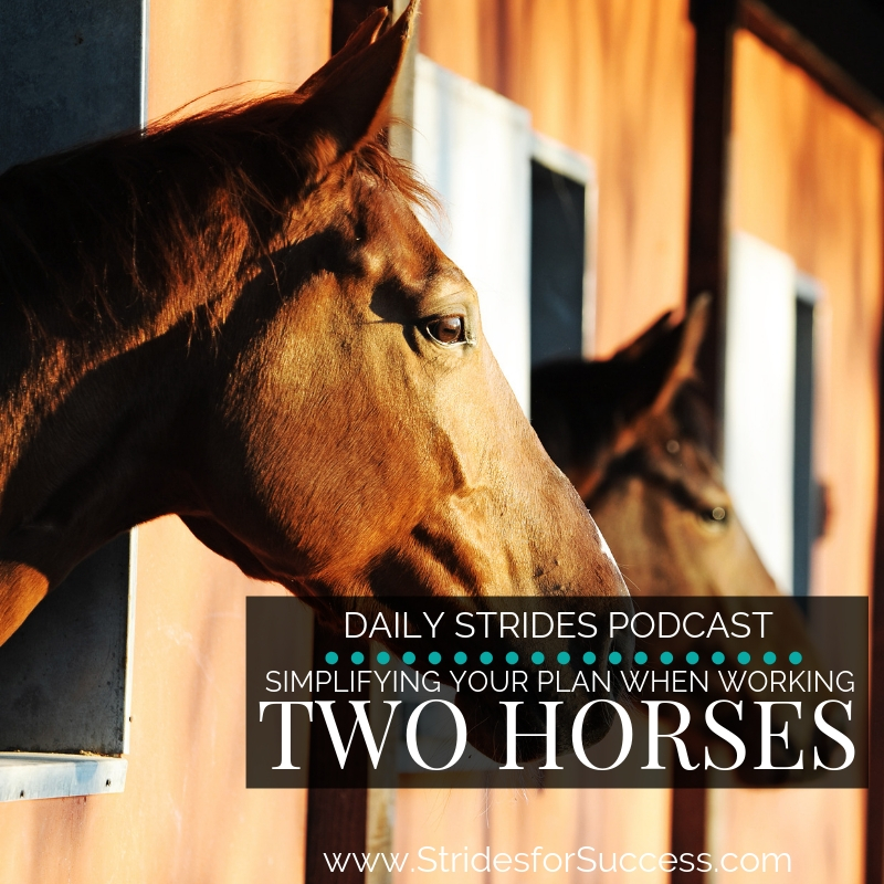 Simplifying Your Plan when Working Two Horses
