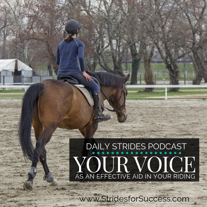 Using Your Voice as an Effective Aid in Your Riding