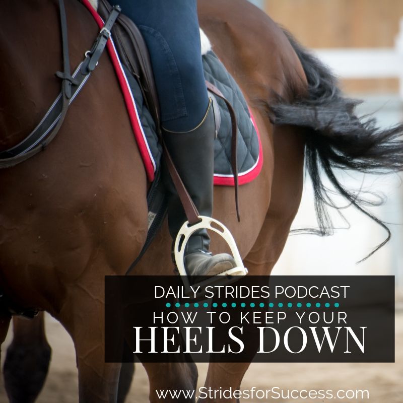 How To Keep Your Heels Down when Horse Riding