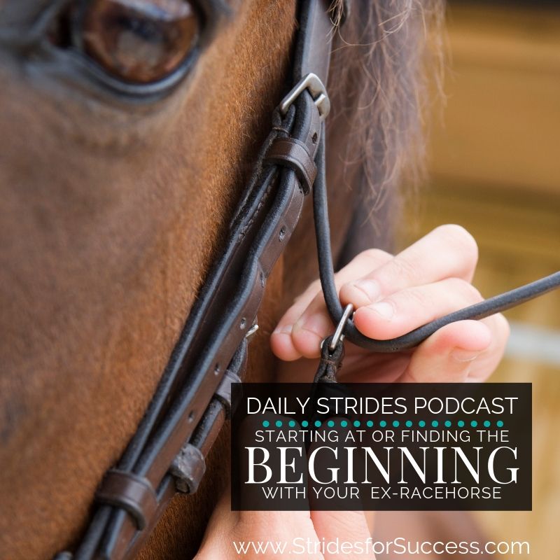 Where is the Beginning with Your OTTB or Ex-Racehorse