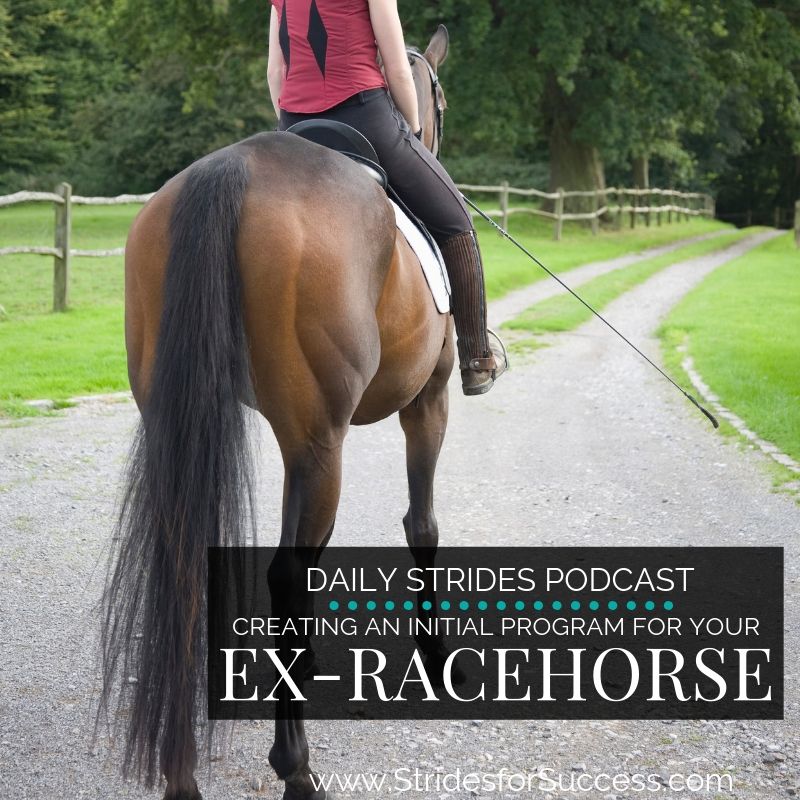 Creating an Initial Program for Your Ex-Racehorse
