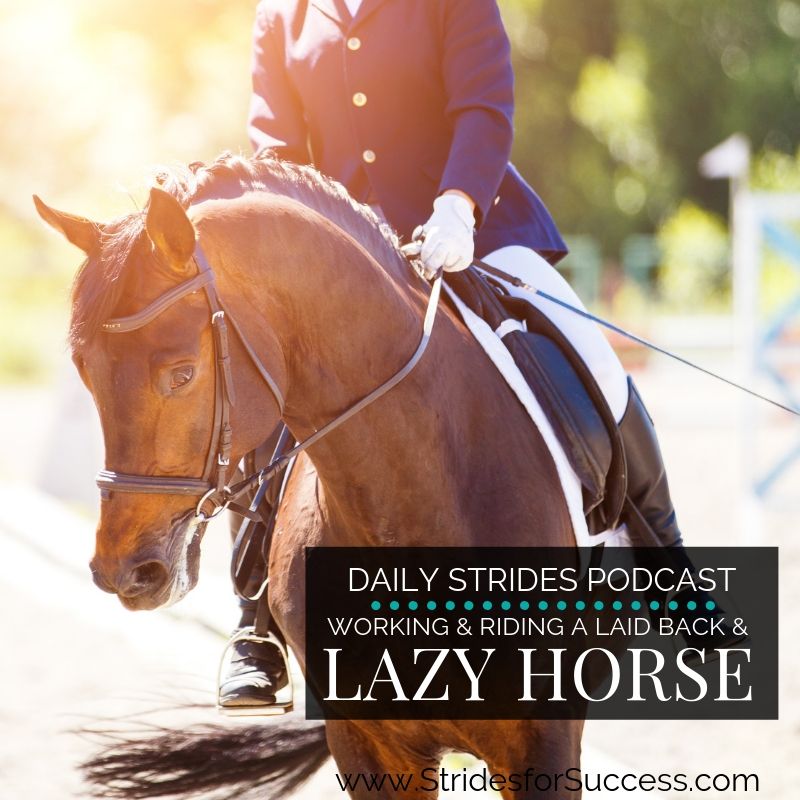 Working and Riding a Lazy or Laid Back Horse