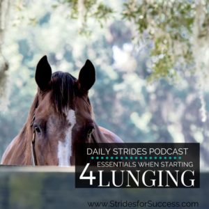 4 Essentials for getting Started with Lunging