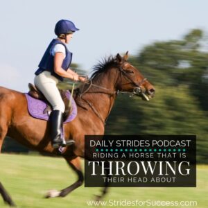 Riding a Horse that is Tossing or Throwing his Head about