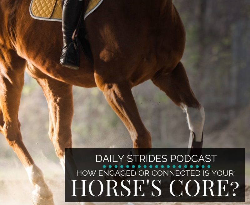 How Engaged is Your Horses Core?