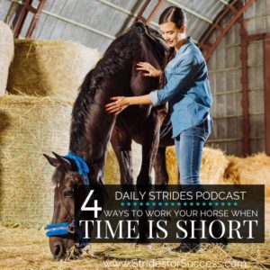 4 Ways to Work your horse when time is short