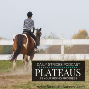 Overcoming a Plateau in your horse riding progress