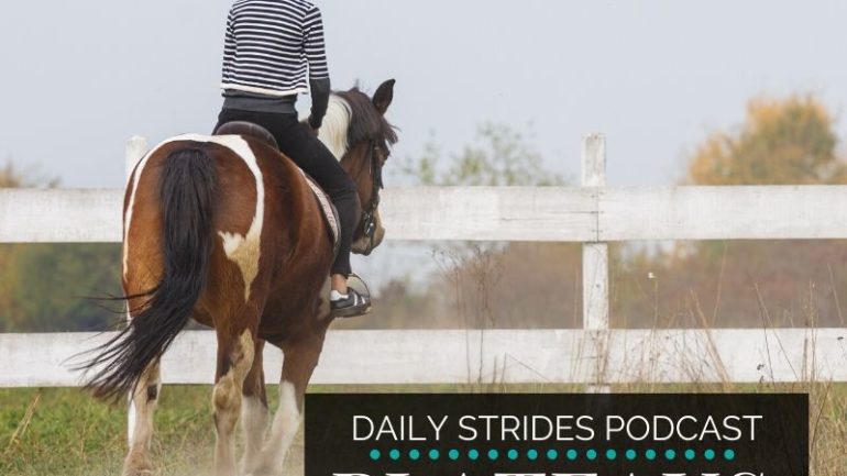 Overcoming a Plateau in Your Horse Riding Progress