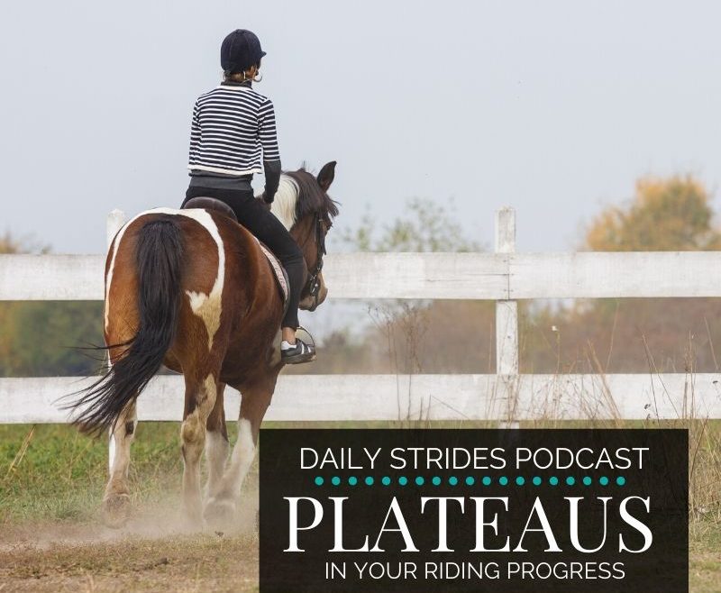 Overcoming a Plateau in your horse riding progress