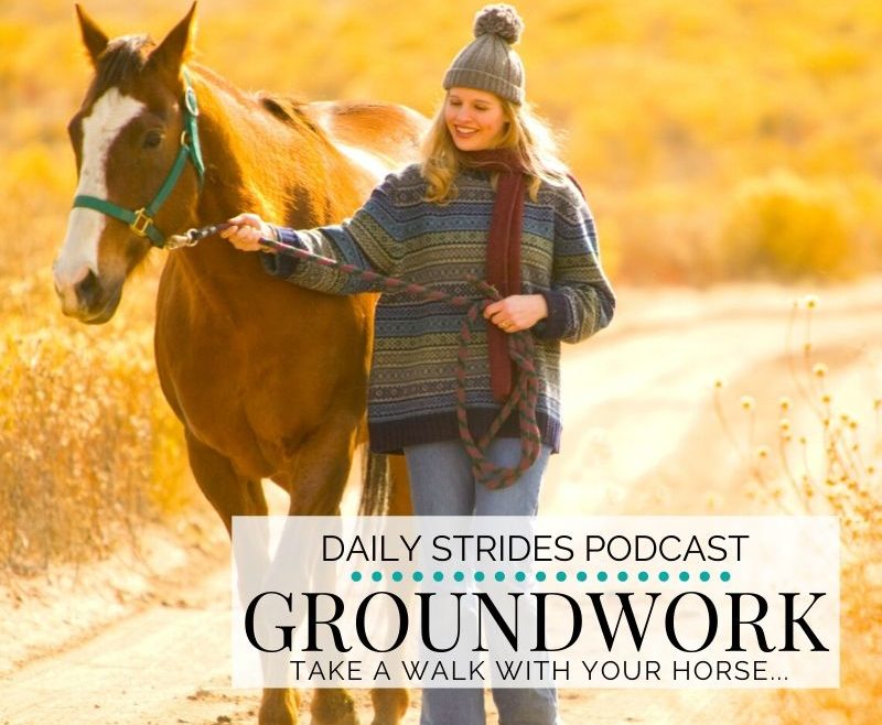 Groundwork; Take Your Horse for a Walk