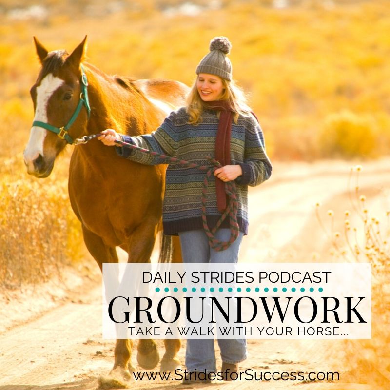 Groundwork; Take Your Horse for a Walk