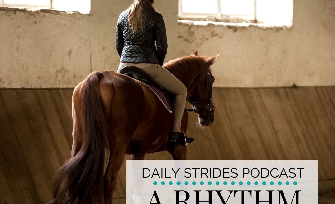 Developing a Rhythm for Progress in Your Riding