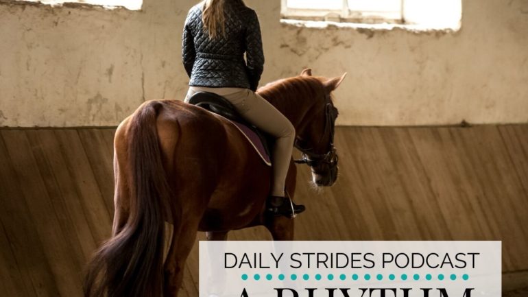 Developing a Rhythm for Your Progress in the Saddle