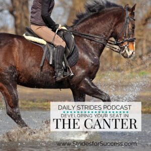 Developing Your Seat in the Canter