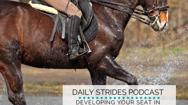 Developing Your Seat in the Canter