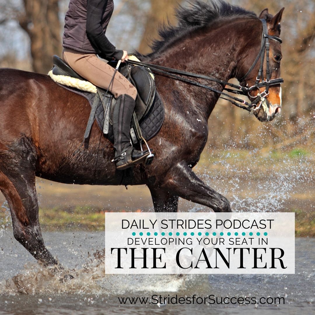 Developing Your Seat in the Canter