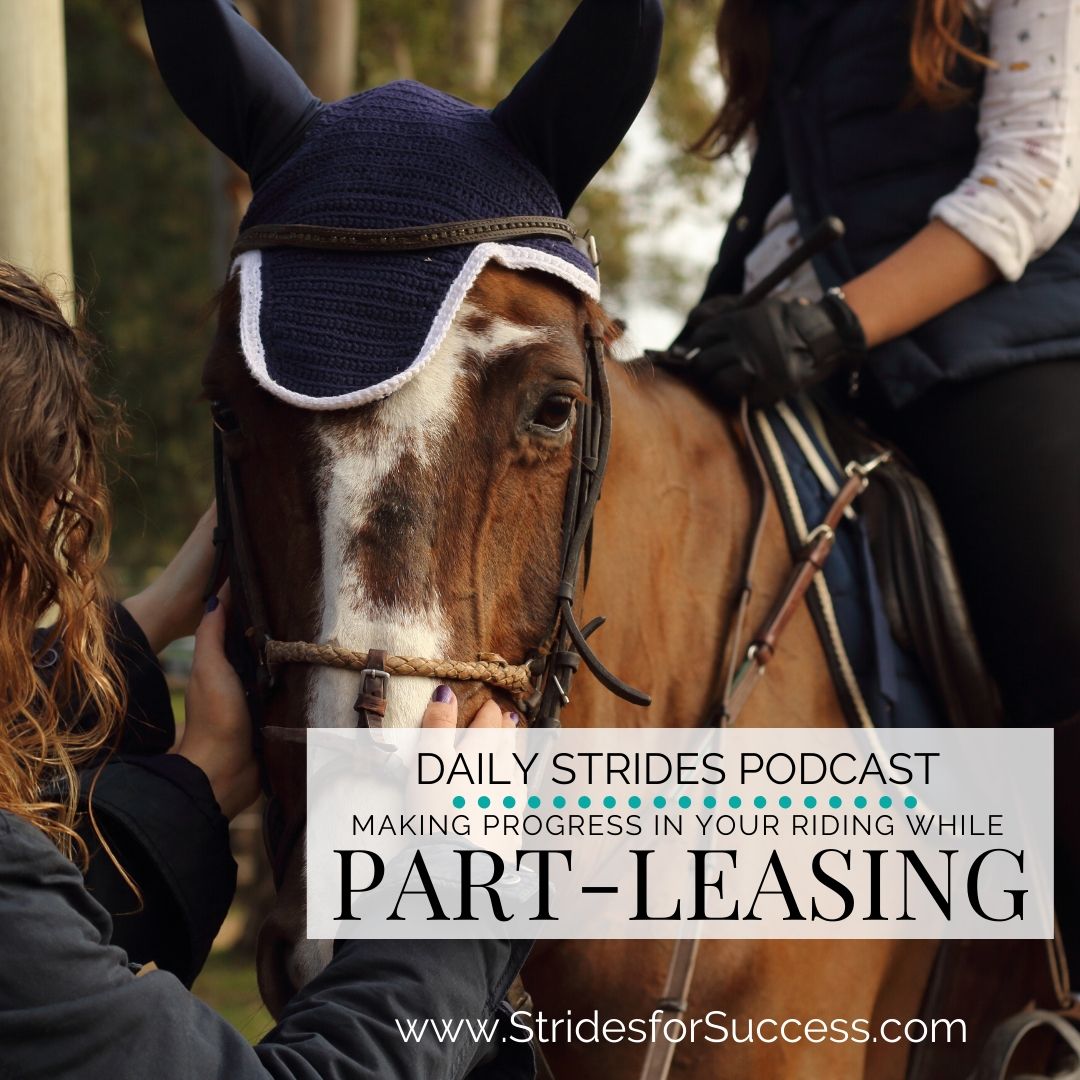 Making Progress while Part Leasing or Renting a Horse