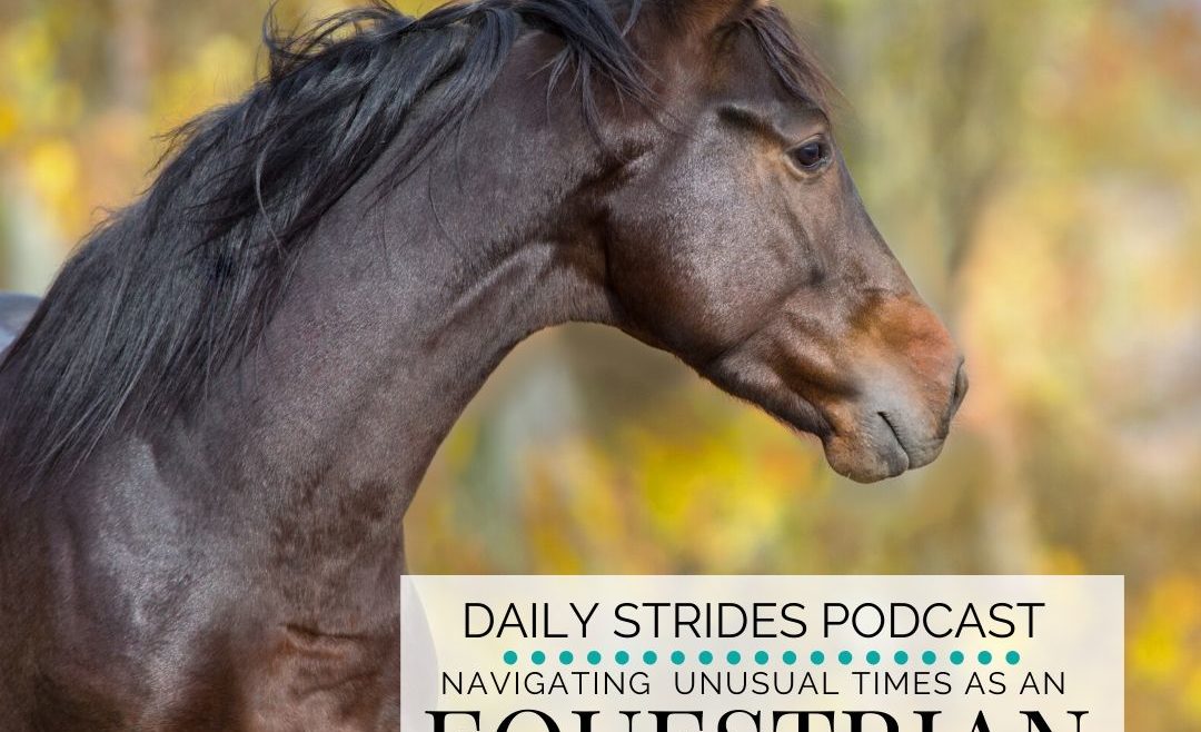 Navigating Unusual Times as an Equestrian
