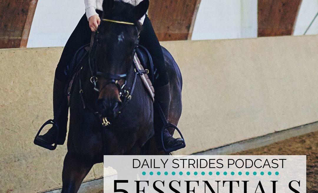 5 Essentials when You're Trainer for You and Your Horse