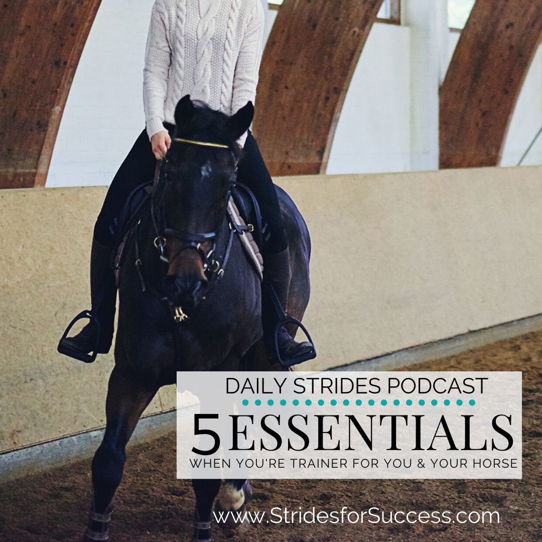 5 Essentials When You Become Trainer for You and Your Horse