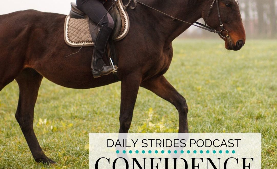 Confidence In Yourself as an Equestrian