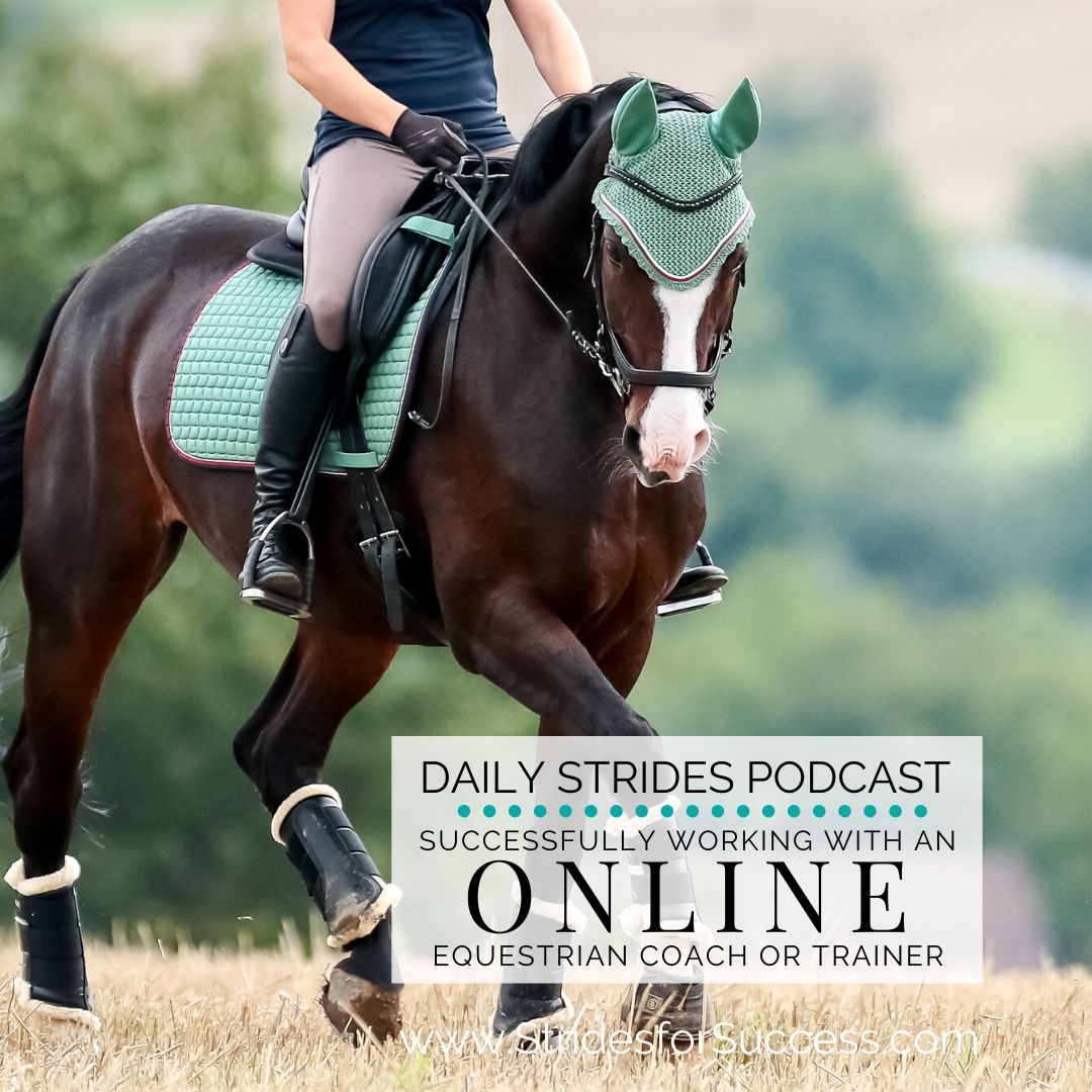 Working with an Online Equestrian Coach or Trainer