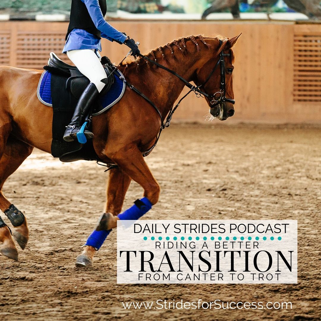 Transition from canter to trot