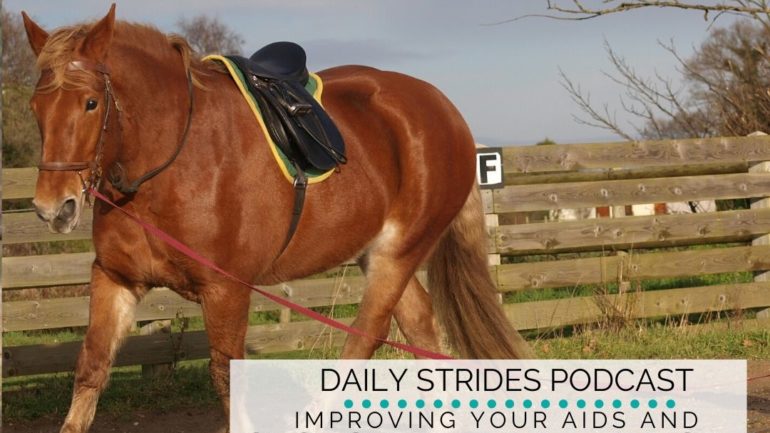 Improving Your Riding Coordination And Aids While Lunging
