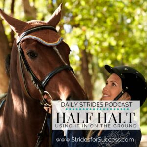Half Halt on the Ground with Your Hosre