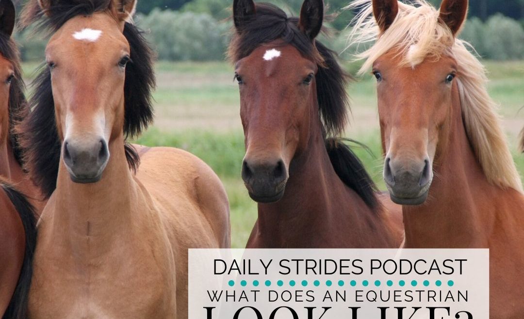 What does an equestrian look like? Diversity in equestrian sport