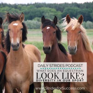 What does an equestrian look like? Diversity in equestrian sport