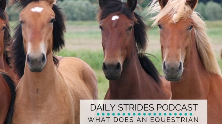 What Does an Equestrian Look Like?  Diversity in Our Sport