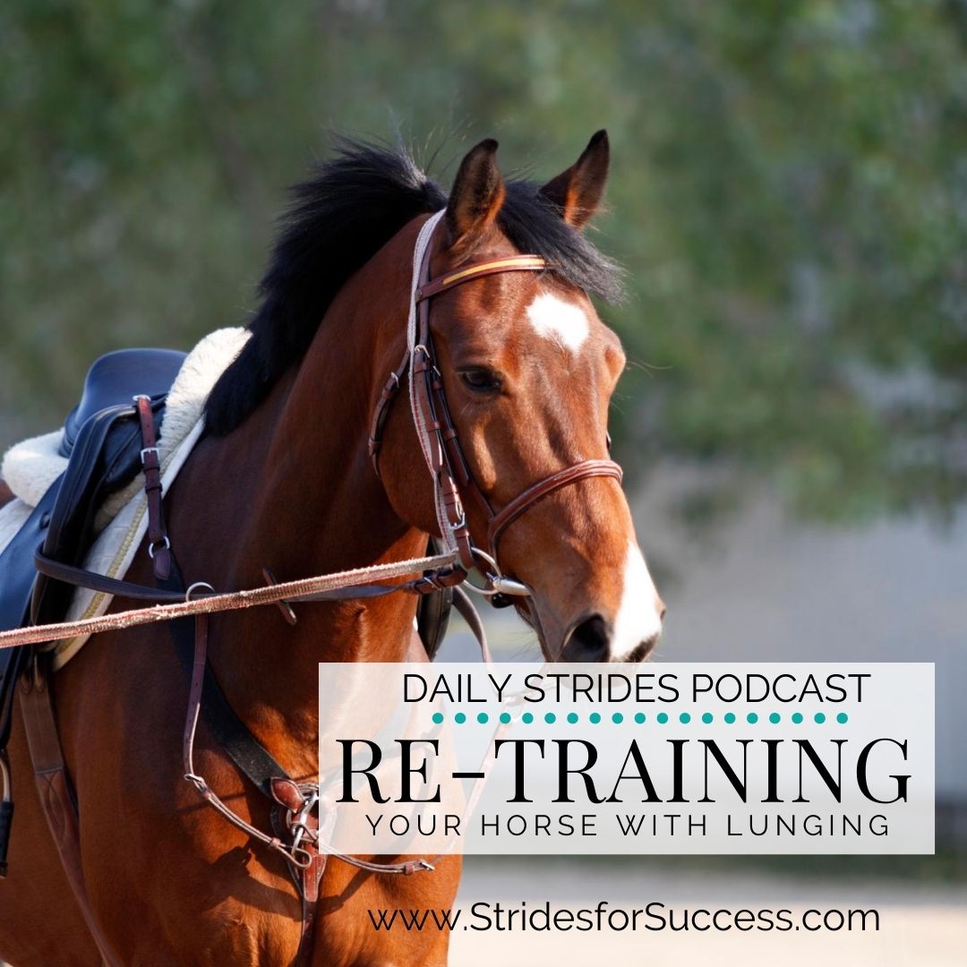 Re-training Your Horse with Lunging