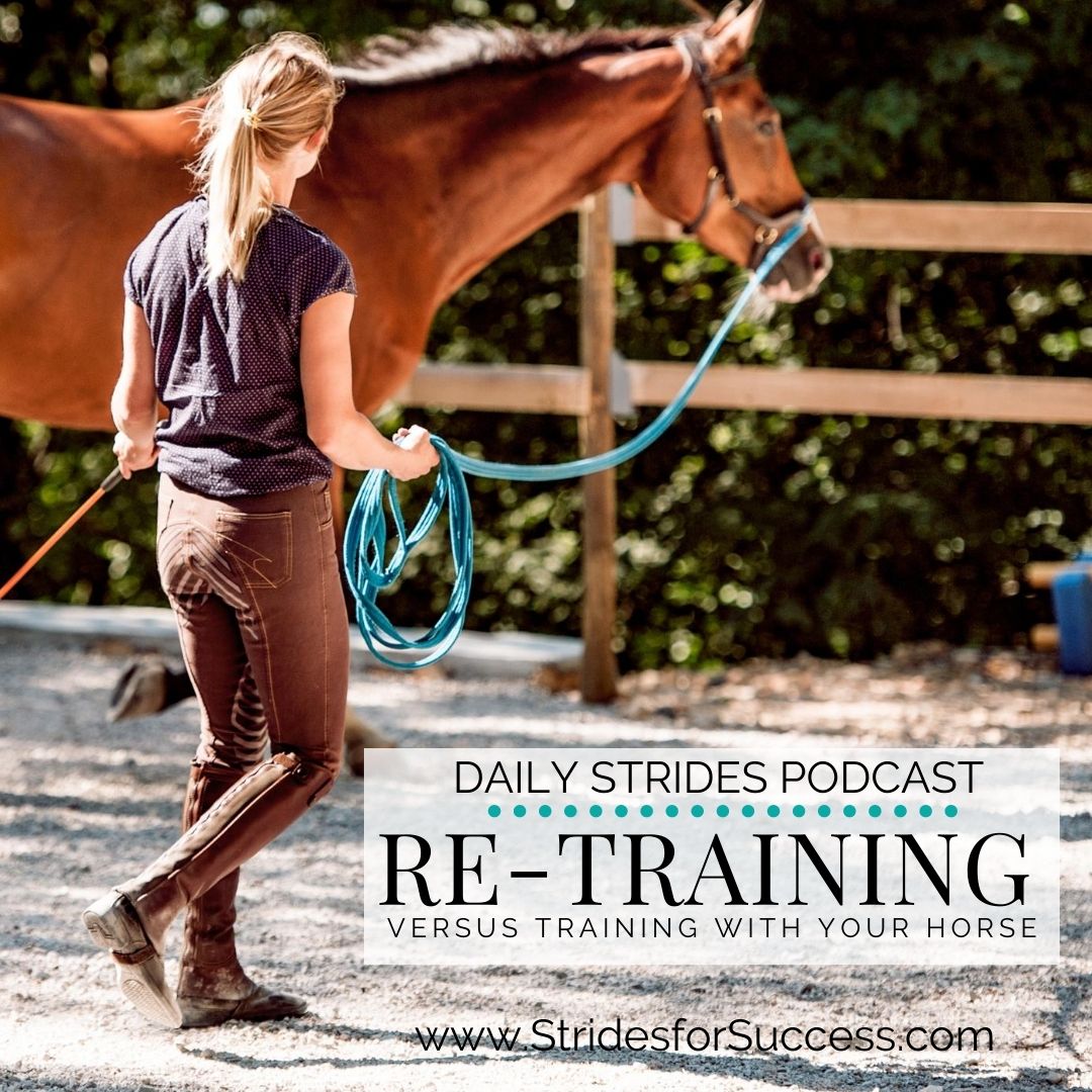 Retraining versus training your horse