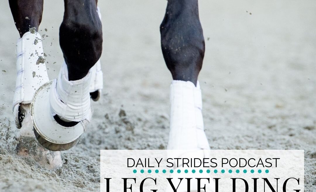 Leg Yielding to Refine Your Asking Aids in the Saddle