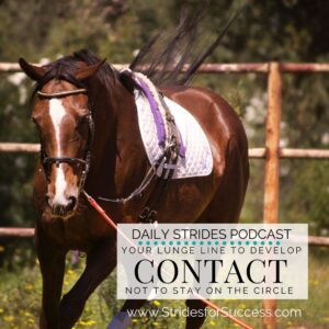 Your Lunge Line to Develop Contact, Not Keep Your Horse on the Circle