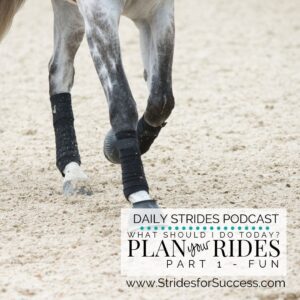 Plan your Rides - Part 1 Fun