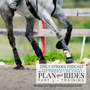 Your Riding Plan - Part 3 - Developing