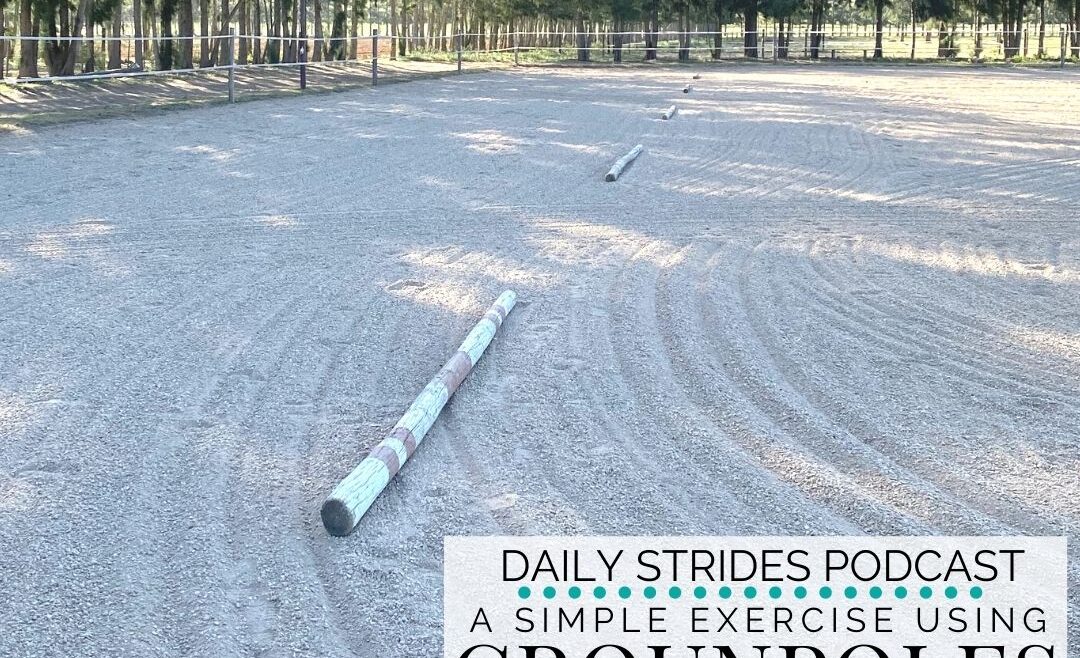 1 Groundpole Exercise - Multiple Ways to Use it in Your Riding