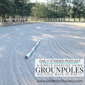 1 Groundpole Exercise - Multiple Ways to Use it in Your Riding