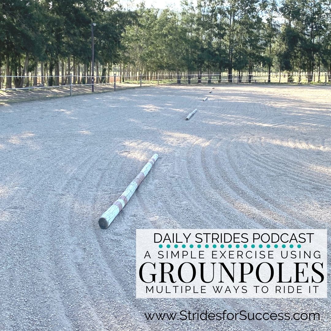 1 Groundpole Exercise - Multiple Ways to Use it in Your Riding